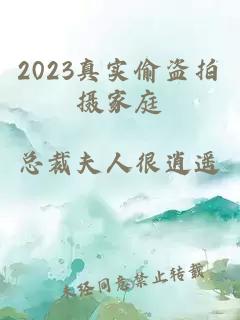 2023真实偷盗拍摄家庭