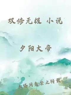 双修无极 小说