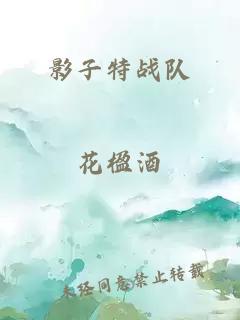 影子特战队