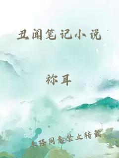 丑闻笔记小说