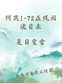 阿宾1-72在线阅读目录