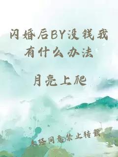 闪婚后BY没钱我有什么办法