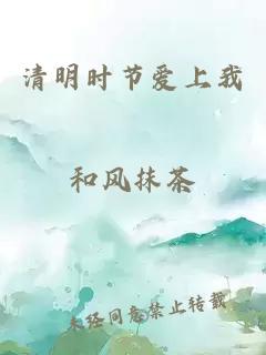 清明时节爱上我