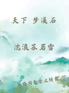 天下 梦溪石