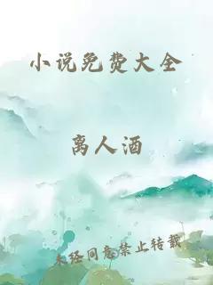 小说免费大全