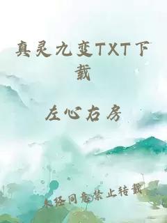 真灵九变TXT下载