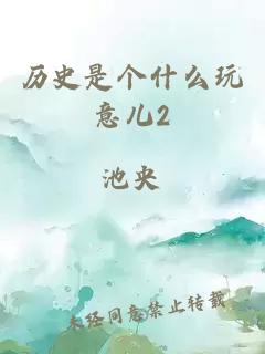 历史是个什么玩意儿2