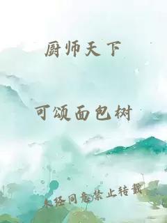 厨师天下