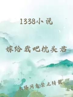 1338小说