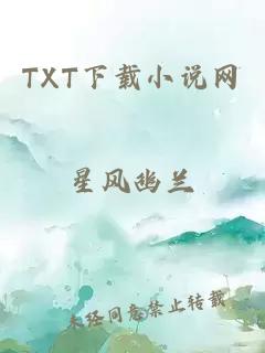 TXT下载小说网