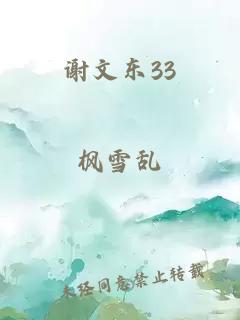 谢文东33