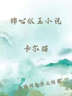 锦心似玉小说