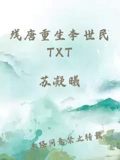 残唐重生李世民TXT