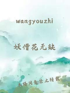 wangyouzhi