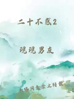 二十不惑2