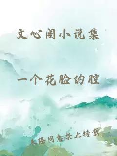 文心阁小说集