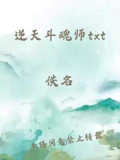 逆天斗魂师txt