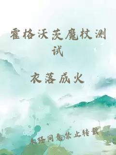 霍格沃茨魔杖测试