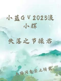 小蓝GⅤ2023浪小辉