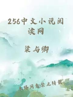 256中文小说阅读网