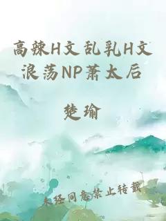 高辣H文乱乳H文浪荡NP萧太后