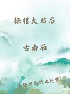 撩错夫君后