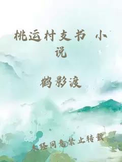 桃运村支书 小说