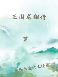 三国龙翔传