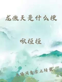 龙傲天是什么梗