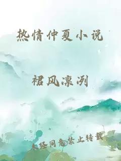 热情仲夏小说