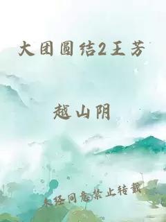 大团圆结2王芳