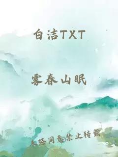 白洁TXT