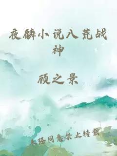 夜麟小说八荒战神