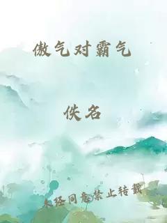 傲气对霸气