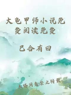 大龟甲师小说免费阅读免费