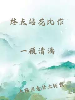 终点站花比作