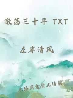 激荡三十年 TXT