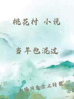 桃花村 小说