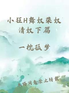 小狂H舞奴荣奴清奴下篇