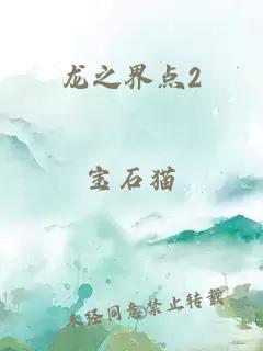 龙之界点2