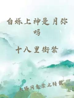 白烁上神是月弥吗