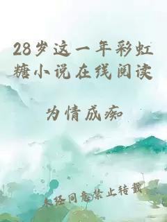 28岁这一年彩虹糖小说在线阅读