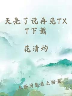 天亮了说再见TXT下载