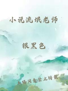 小说流氓老师