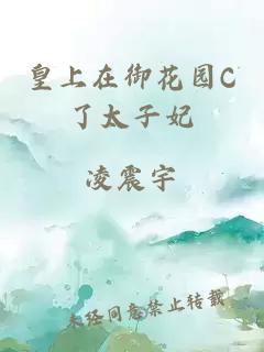 皇上在御花园C了太子妃