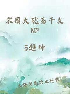 京圈大院高干文NP