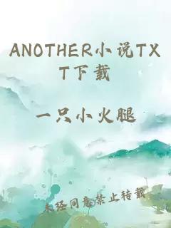 ANOTHER小说TXT下载