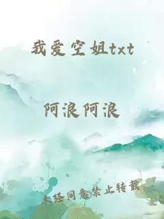 我爱空姐txt