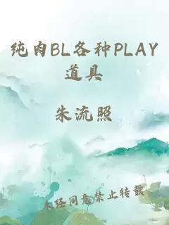 纯肉BL各种PLAY道具