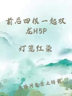 前后四根一起双龙H5P